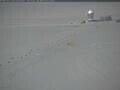 Webcam South Pole