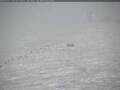 Webcam Pôle Sud
