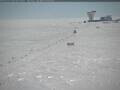 Webcam South Pole
