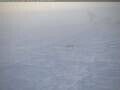 Webcam South Pole