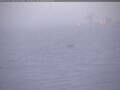 Webcam South Pole