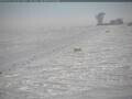 Webcam Amundsen-Scott South Pole Station