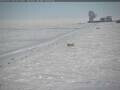 Webcam South Pole