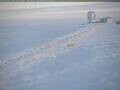 Webcam Amundsen-Scott South Pole Station
