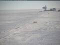 Webcam South Pole