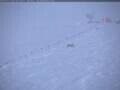 Webcam South Pole