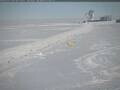 Webcam South Pole