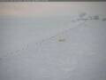 Webcam South Pole