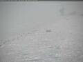 Webcam Polo Sud