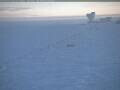 Webcam South Pole