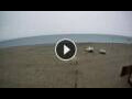 Webcam Gizzeria Lido: Kitesurf weather