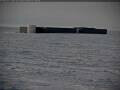 Webcam South Pole