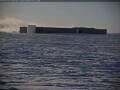 Webcam Pôle Sud