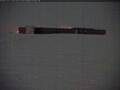 Webcam Polo Sud