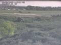 Webcam Nieuwvliet-Bad