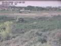 Webcam Nieuwvliet-Bad