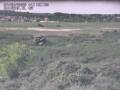 Webcam Nieuwvliet-Bad