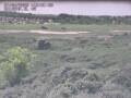 Webcam Nieuwvliet-Bad