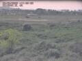 Webcam Nieuwvliet-Bad