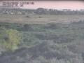 Webcam Nieuwvliet-Bad
