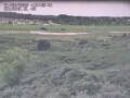 Webcam Nieuwvliet-Bad
