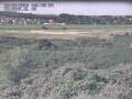 Webcam Nieuwvliet-Bad