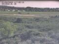 Webcam Nieuwvliet-Bad
