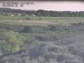 Webcam Nieuwvliet-Bad