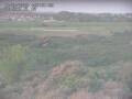 Webcam Nieuwvliet-Bad