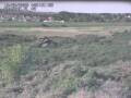 Webcam Nieuwvliet-Bad