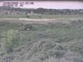 Webcam Nieuwvliet-Bad