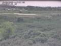 Webcam Nieuwvliet-Bad