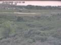 Webcam Nieuwvliet-Bad