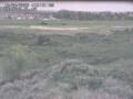 Webcam Nieuwvliet-Bad