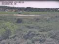 Webcam Nieuwvliet-Bad