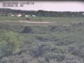 Webcam Nieuwvliet-Bad