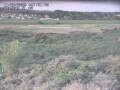Webcam Nieuwvliet-Bad
