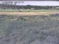 Webcam Nieuwvliet-Bad