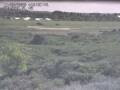 Webcam Nieuwvliet-Bad