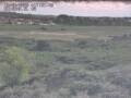 Webcam Nieuwvliet-Bad