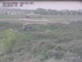 Webcam Nieuwvliet-Bad