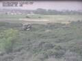 Webcam Nieuwvliet-Bad