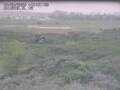Webcam Nieuwvliet-Bad