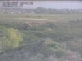 Webcam Nieuwvliet-Bad