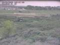 Webcam Nieuwvliet-Bad