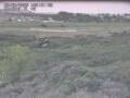 Webcam Nieuwvliet-Bad