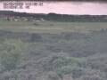 Webcam Nieuwvliet-Bad