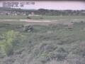 Webcam Nieuwvliet-Bad