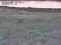 Webcam Nieuwvliet-Bad