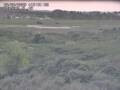 Webcam Nieuwvliet-Bad